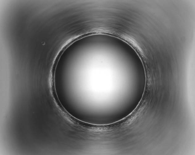X0000094341040200711021447