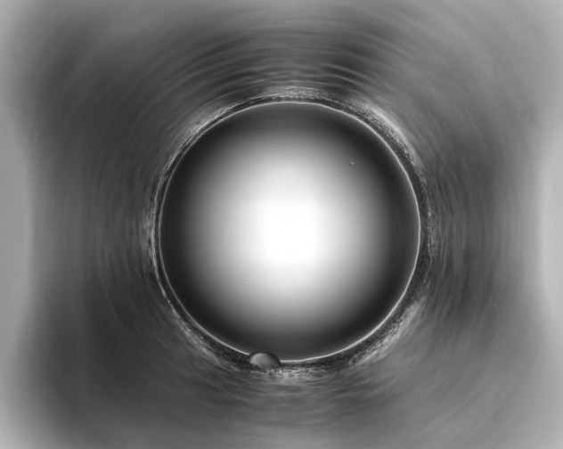 X0000094341041200711021447