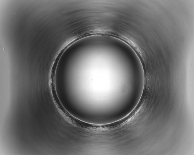 X0000094341042200711021447
