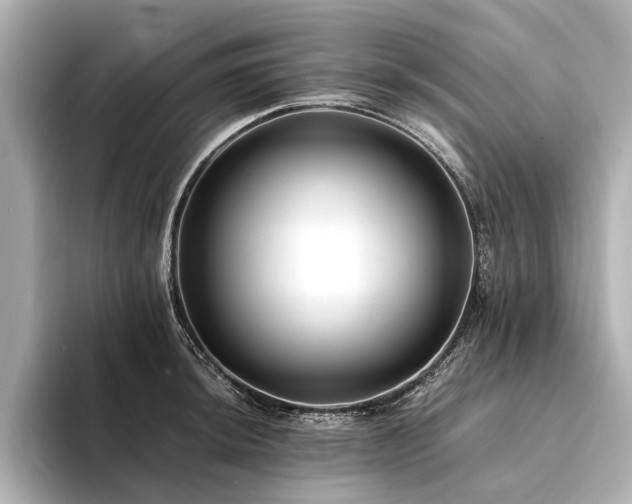 X0000094341044200711021447
