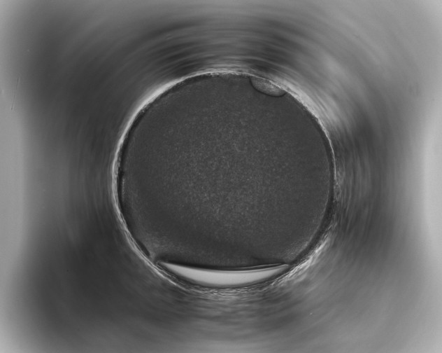 X0000094341045200711021447