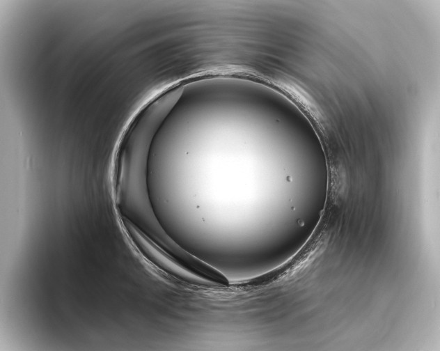 X0000094341046200711021447