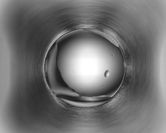 X0000094341050200711021447