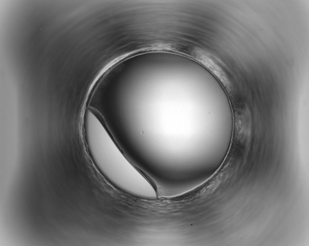 X0000094341052200711021447