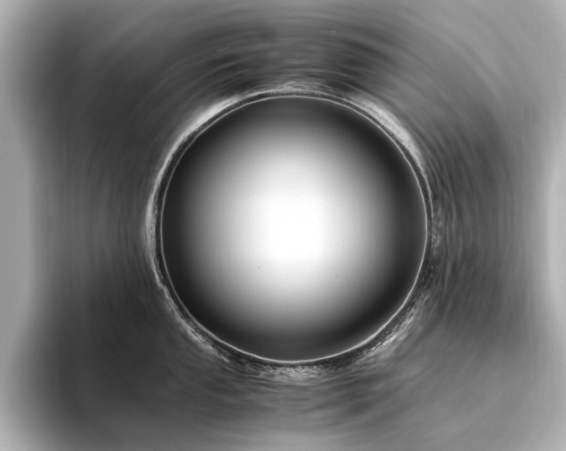 X0000094341053200711021447