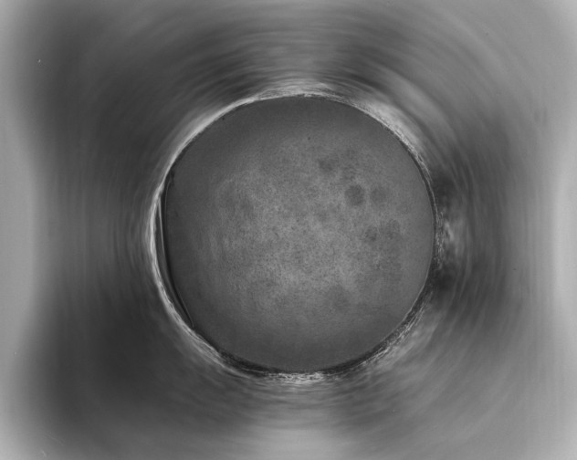 X0000094341055200711021447