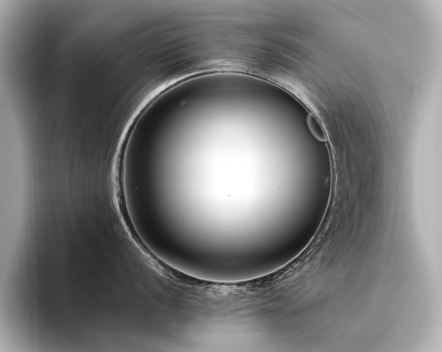 X0000094341056200711021447