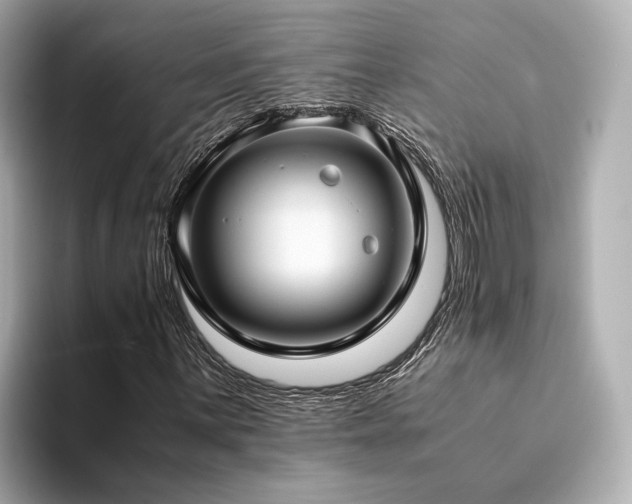 X0000094341059200711021447