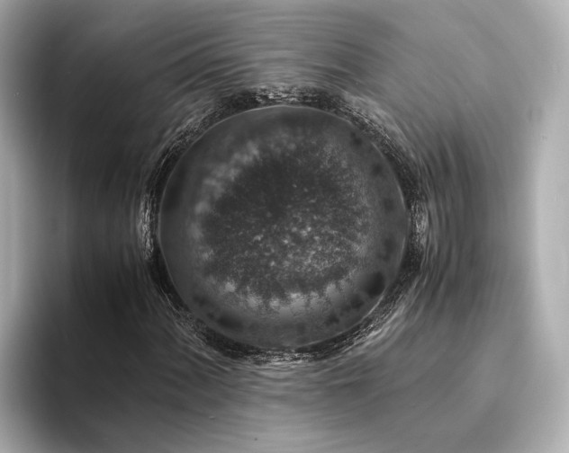 X0000094341060200711021447