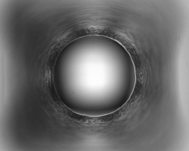 X0000094341061200711021447