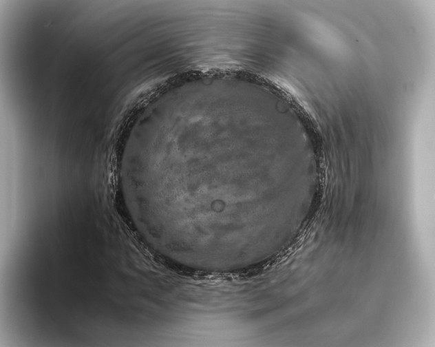 X0000094341063200711021447