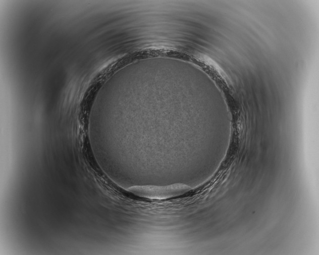 X0000094341064200711021447