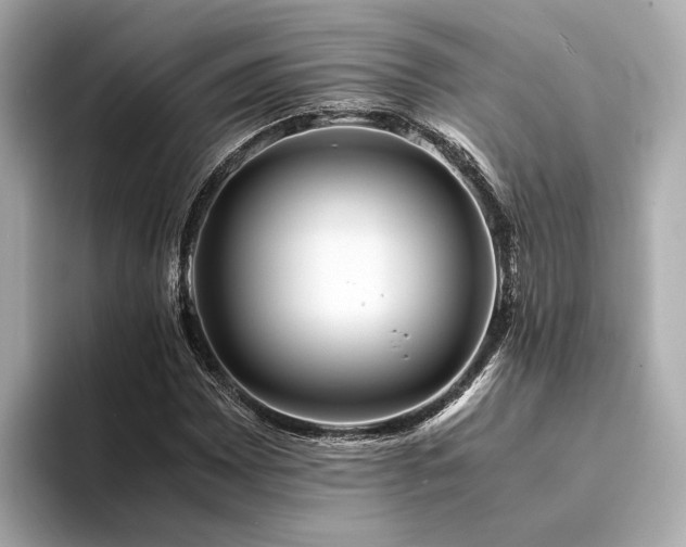 X0000094341065200711021447