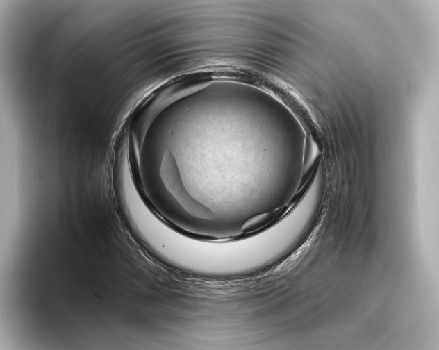 X0000094341066200711021447