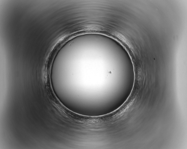 X0000094341067200711021447