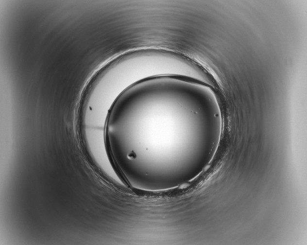 X0000094341069200711021446