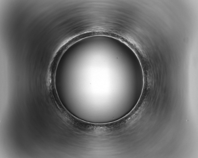 X0000094341070200711021446