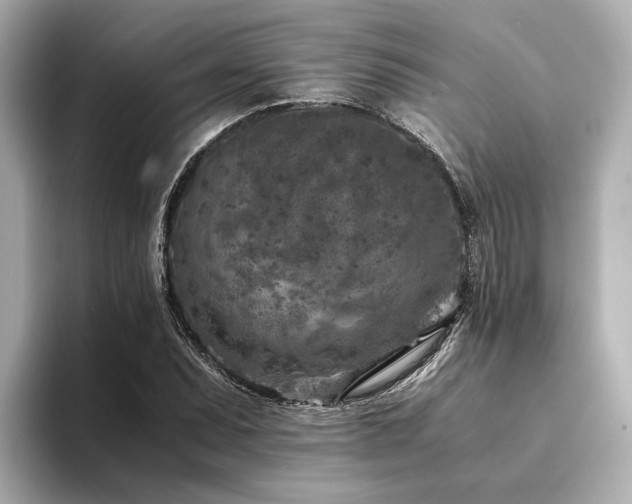 X0000094341071200711021446
