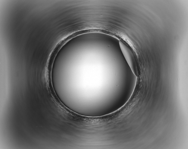 X0000094341072200711021446