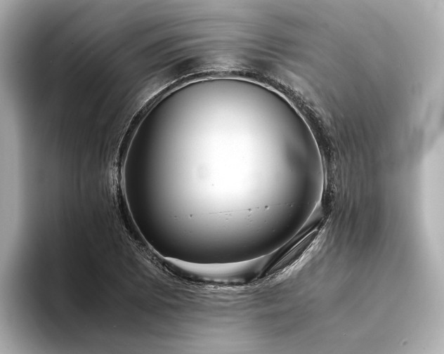 X0000094341073200711021446