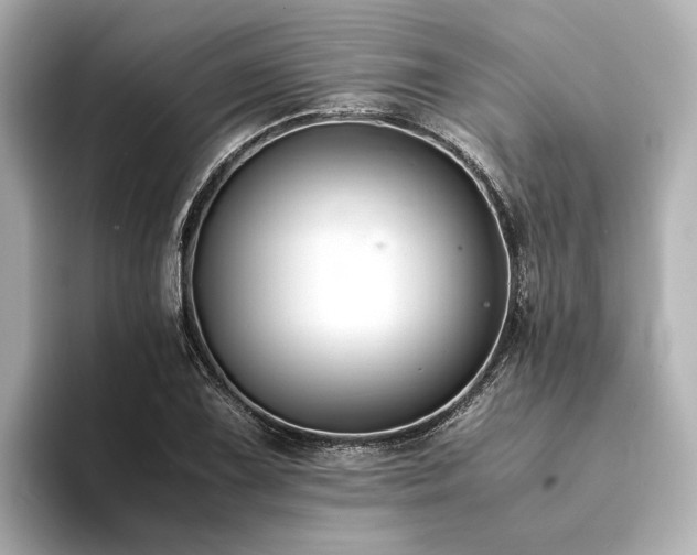 X0000094341075200711021446