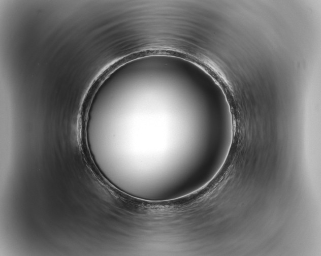 X0000094341076200711021446