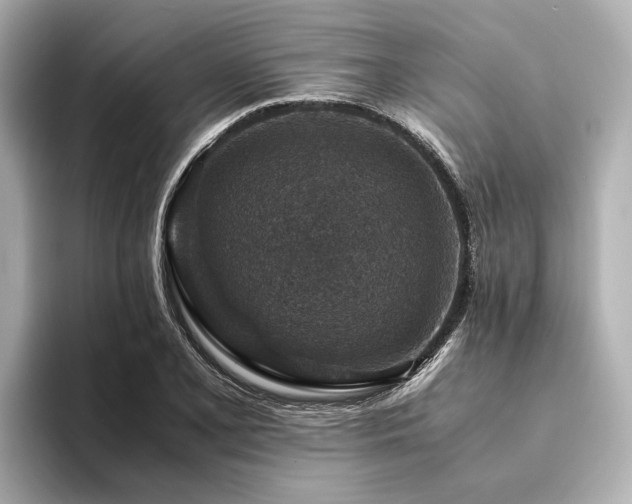 X0000094341077200711021446