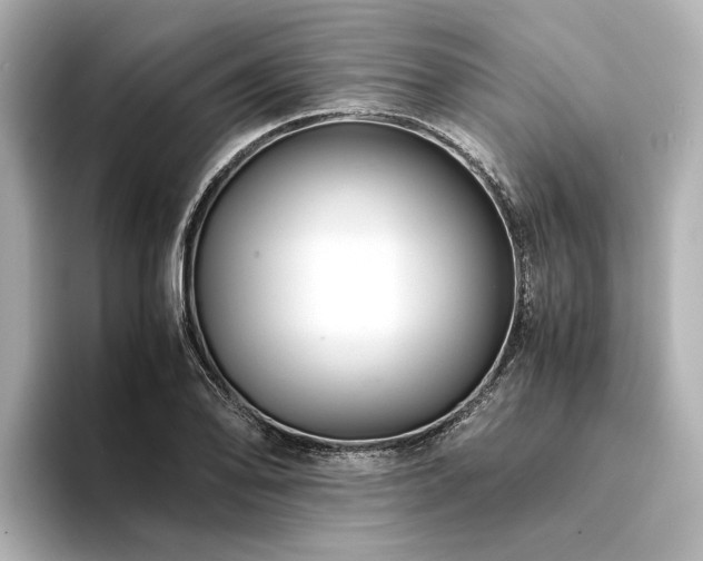 X0000094341078200711021446