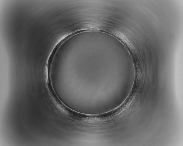 X0000094341079200711021446