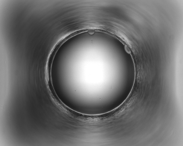 X0000094341080200711021446