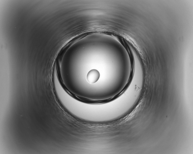 X0000094341081200711021446