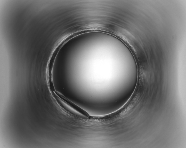 X0000094341082200711021446