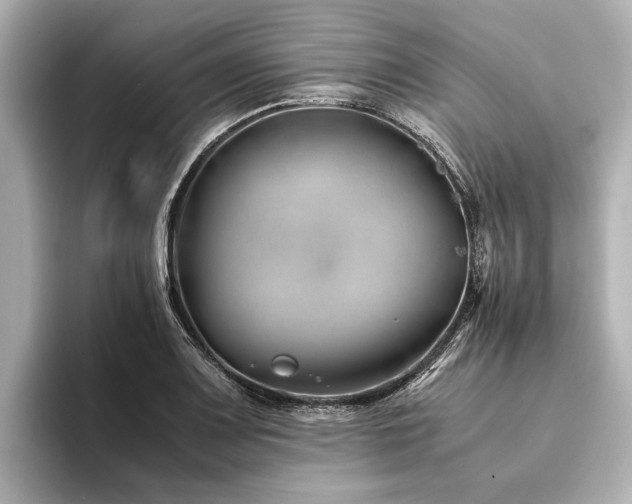 X0000094341083200711021446