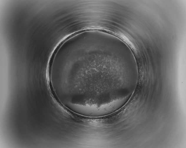 X0000094341084200711021446