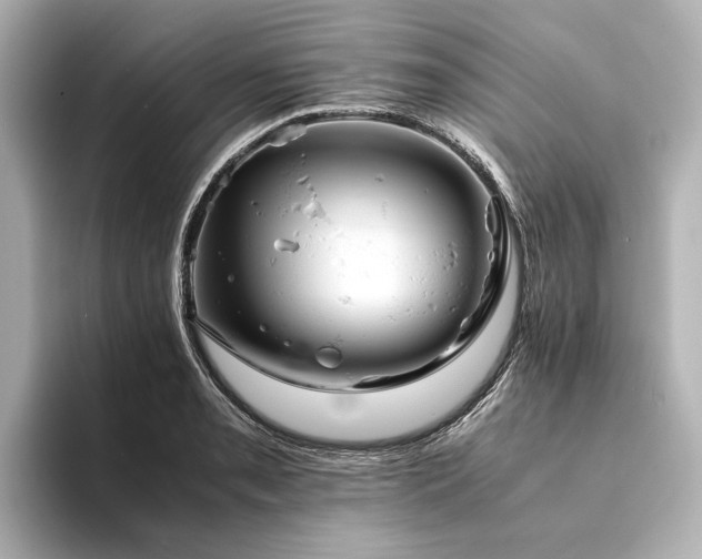 X0000094341085200711021446