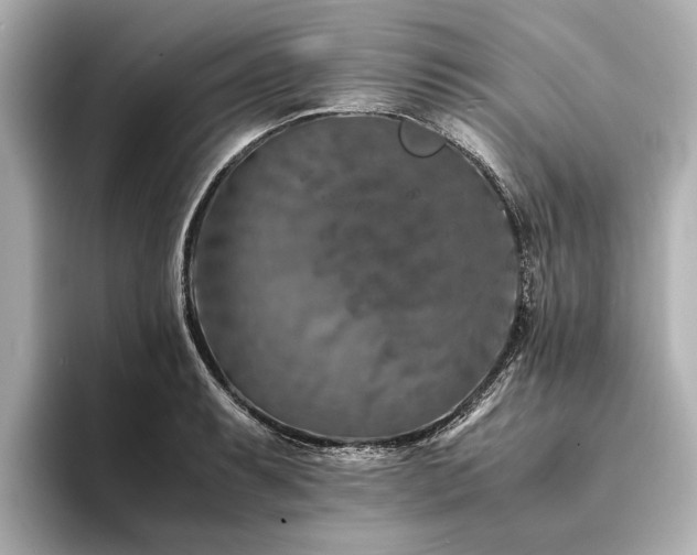 X0000094341087200711021446