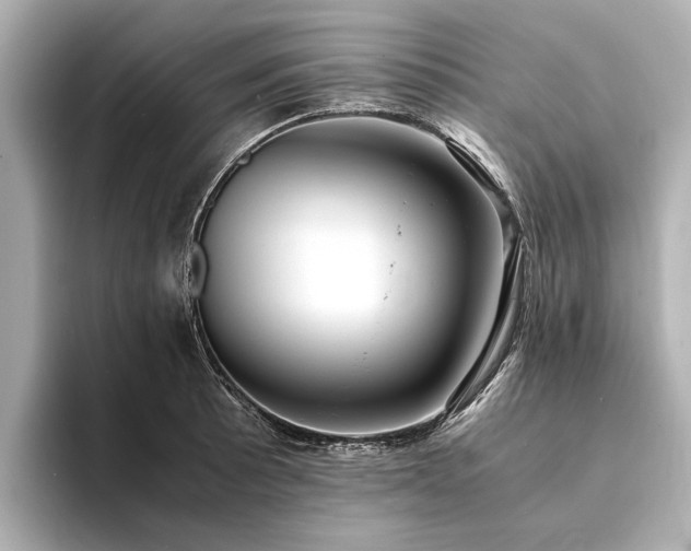 X0000094341089200711021446