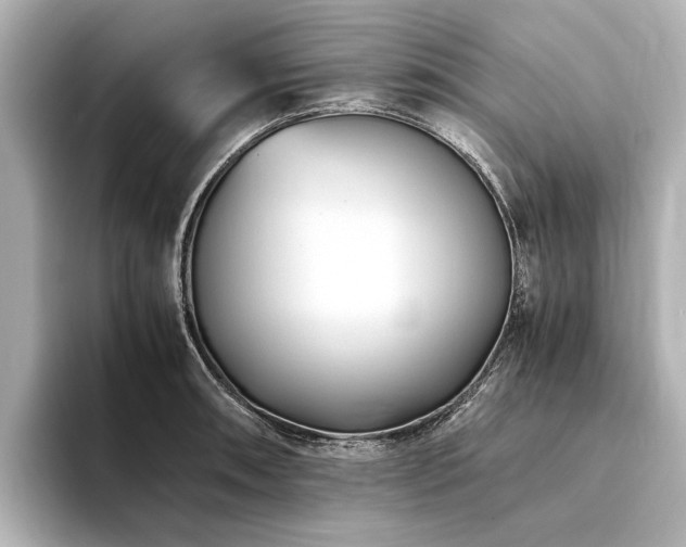 X0000094341090200711021446