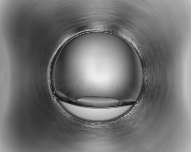 X0000094341091200711021446