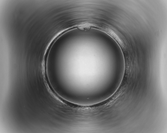 X0000094341092200711021446