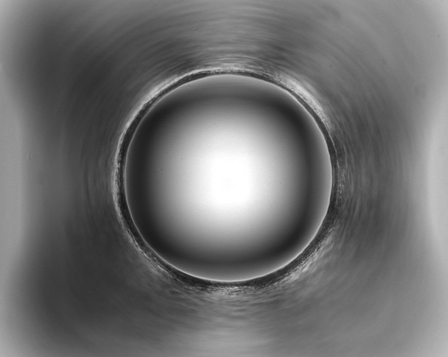 X0000094341093200711021446