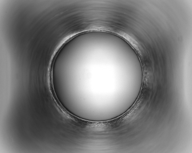 X0000094341094200711021446