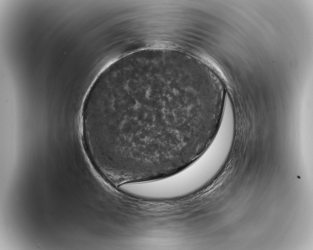 X0000094341095200711021446