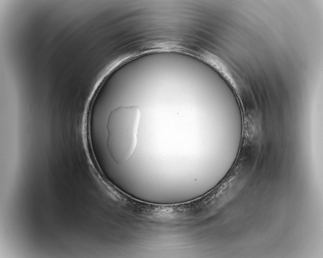 X0000094341098200711021446