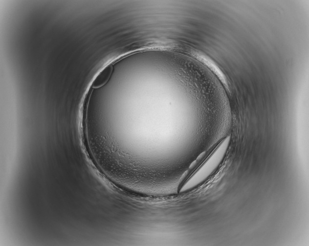 X0000094341099200711021446
