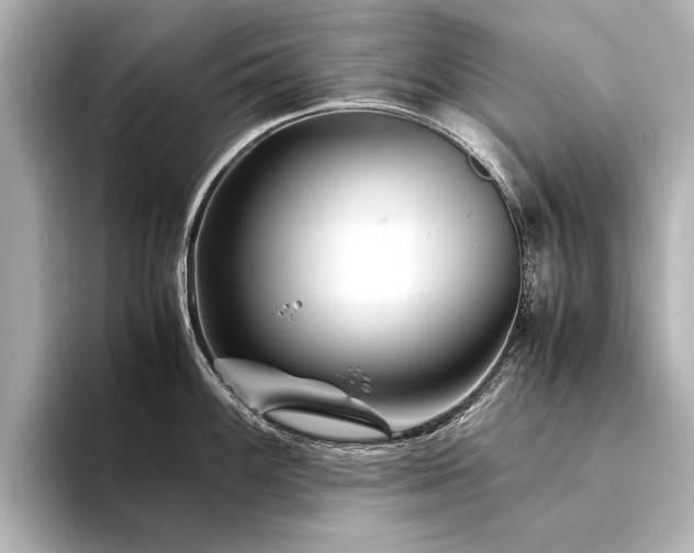 X0000094341100200711021446