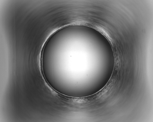 X0000094341103200711021446