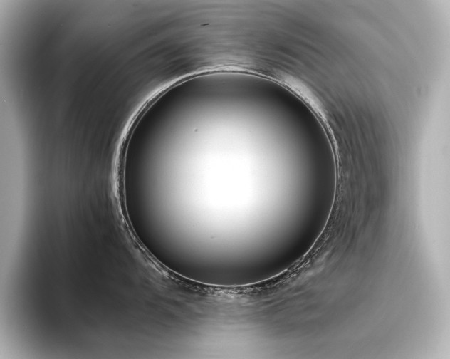X0000094341104200711021446