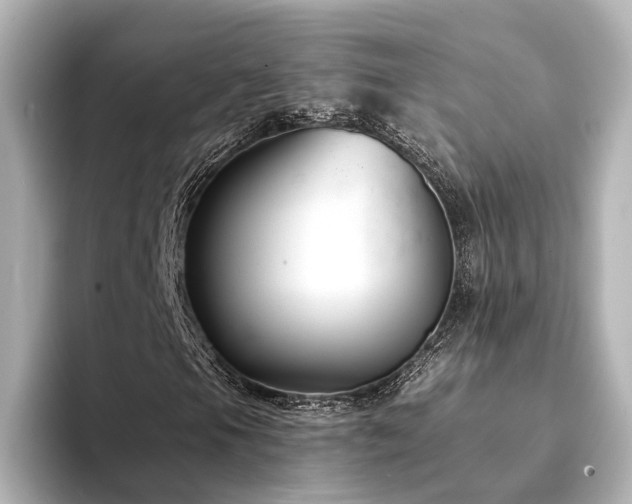 X0000094341105200711021446