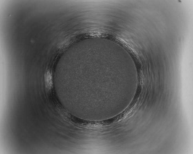 X0000094341106200711021446